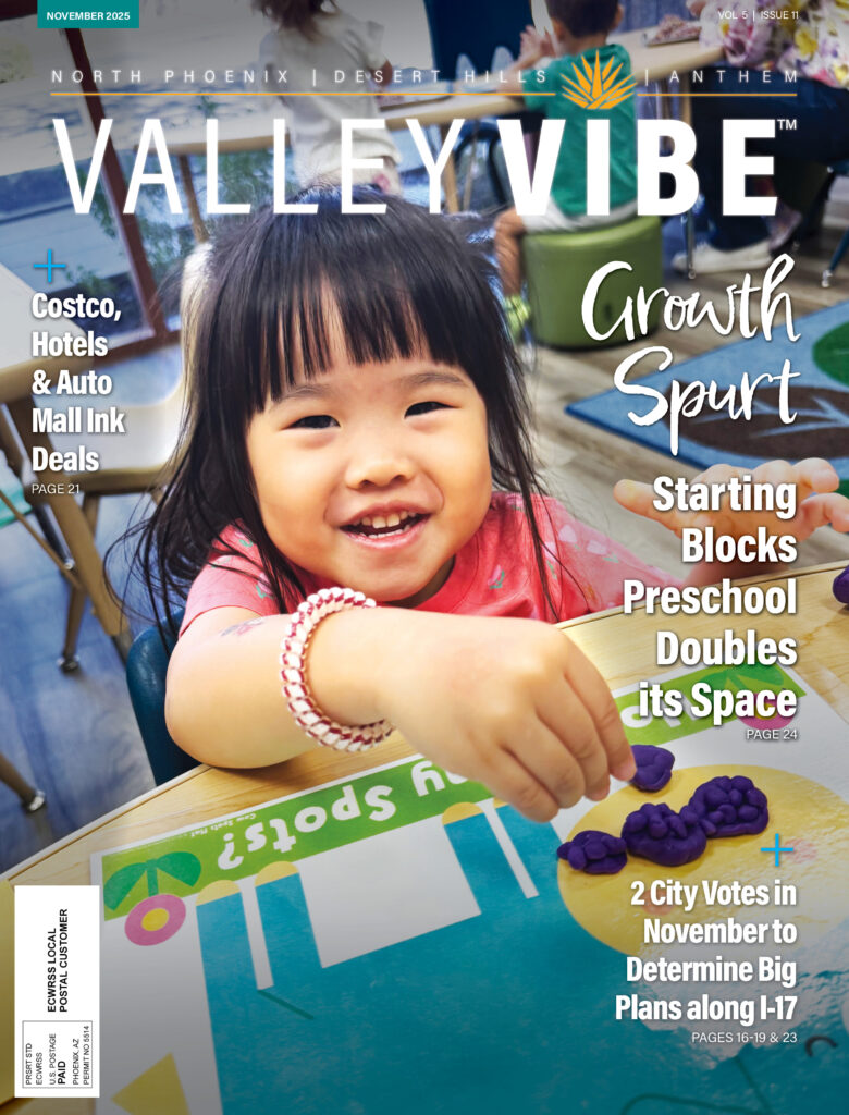 Valley Vibe November 2025 Issue