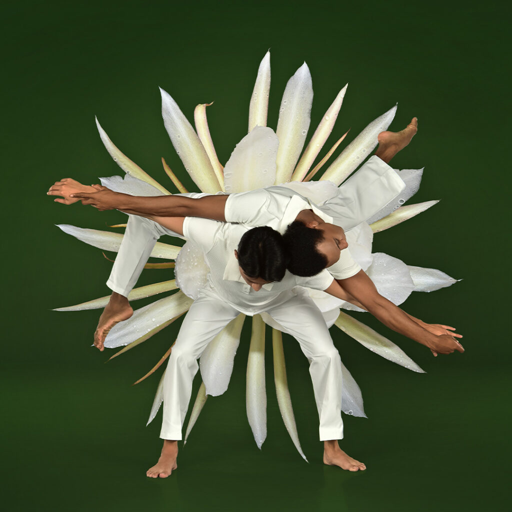 ‘Ballet in Bloom’