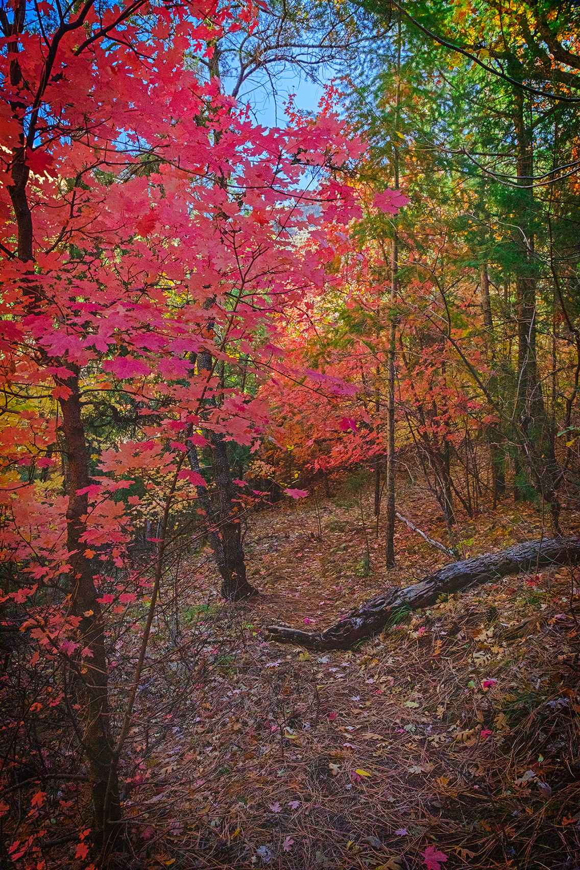 Fall Fest at Slide Rock