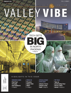 Valley Vibe February 2021 Issue