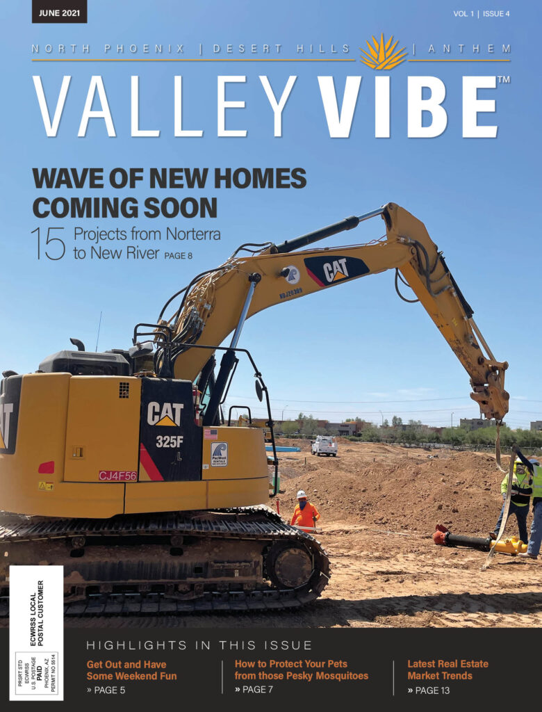 Valley Vibe June 2021 Issue