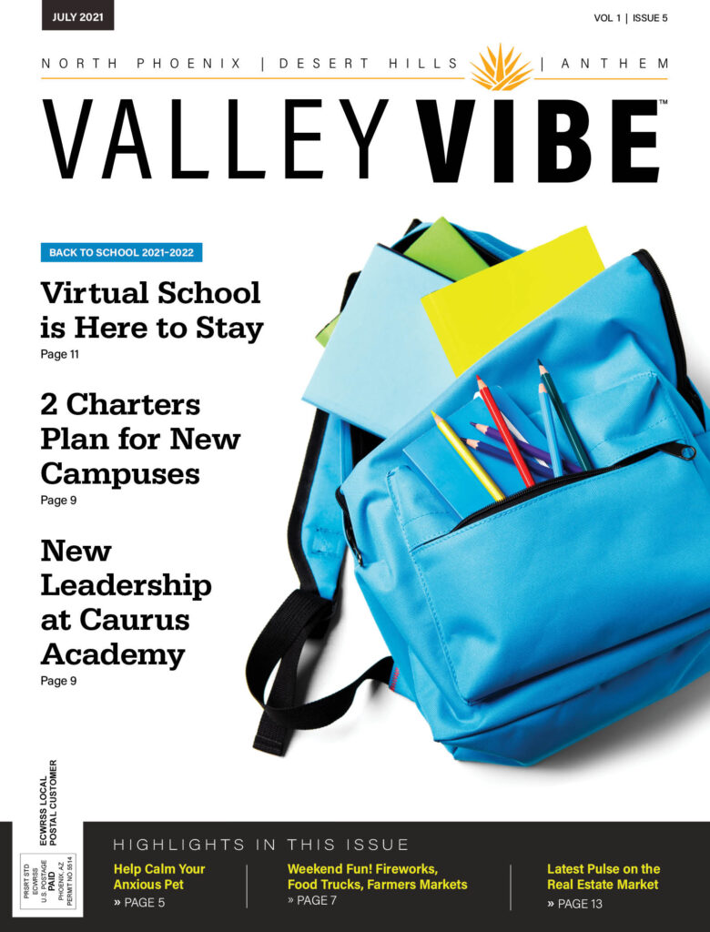 Valley Vibe July 2021 Issue