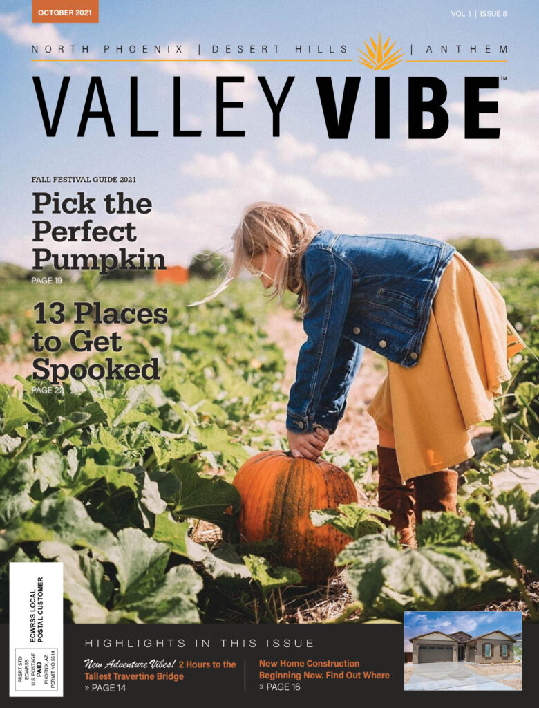 Valley Vibe October 2021 Issue