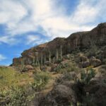 Boyce Thompson Arboretum