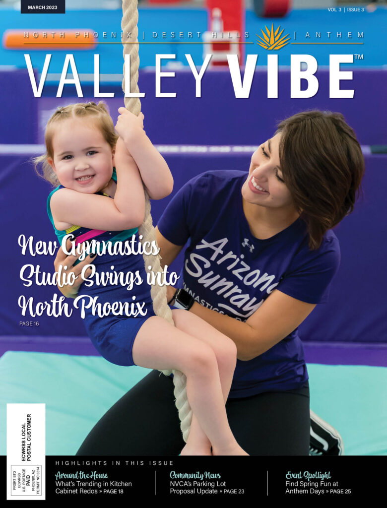 Valley Vibe March 2023 Issue