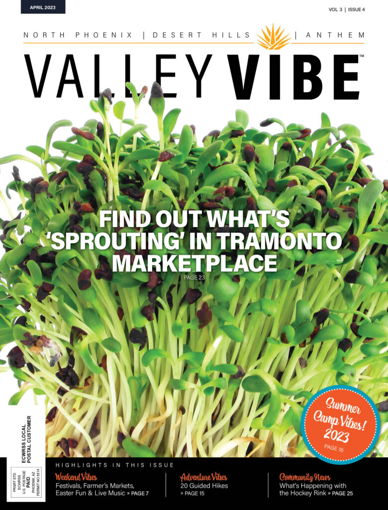 Valley Vibe April 2023 Issue