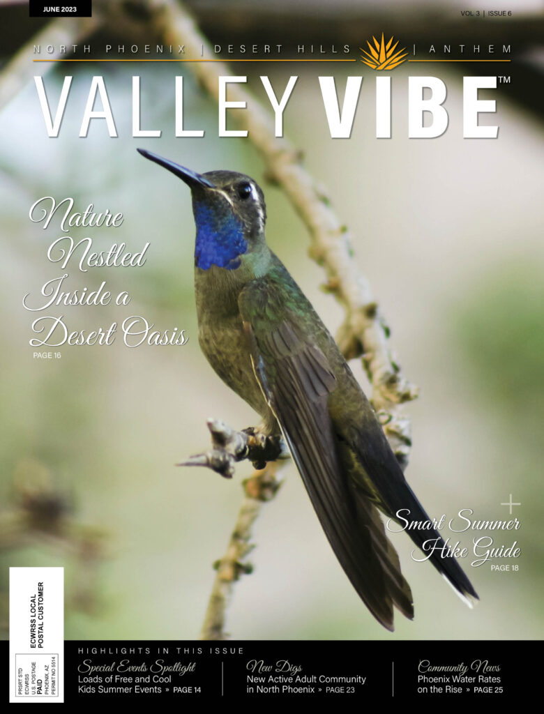 Valley Vibe June 2023 Issue
