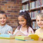 DVUSD No-tax Bond 2023