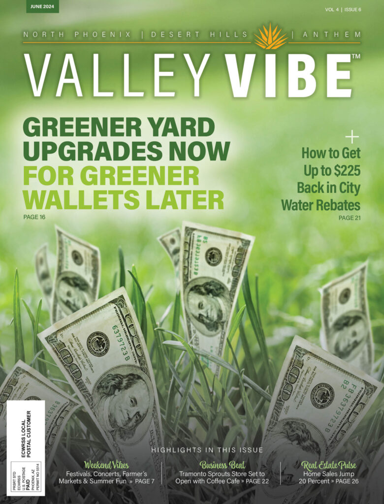 Valley Vibe June 2024 Issue Cover