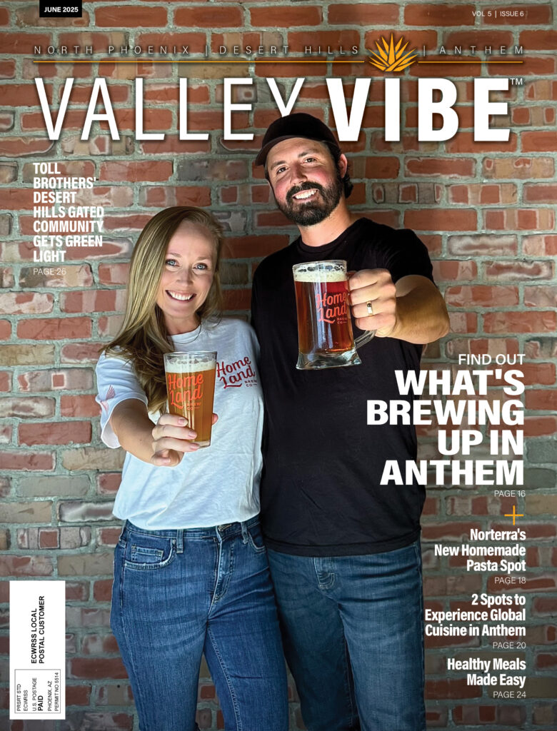 Valley Vibe June 205 Issue