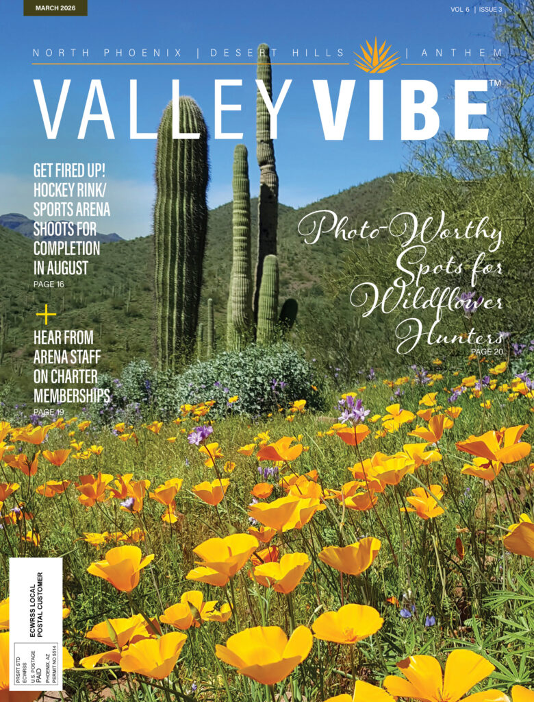Valley Vibe March 2026 Issue